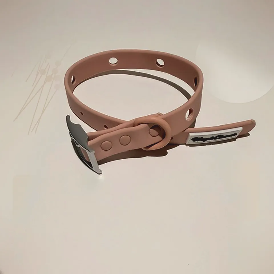 Custom Charm Collar – personalized collar by Wag & Charm